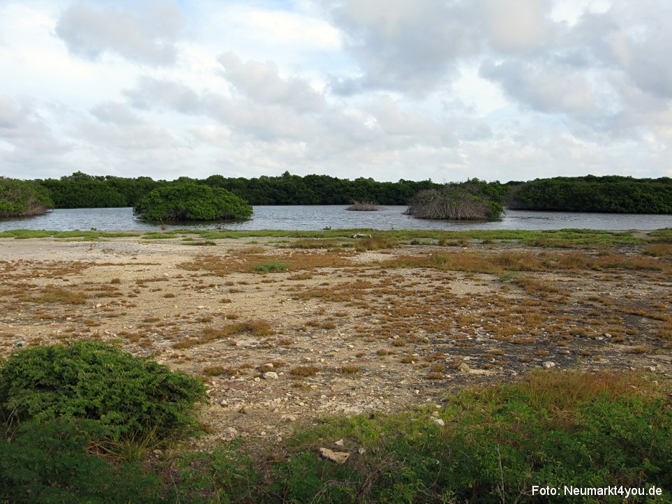 0056 Insel Bonaire 2009